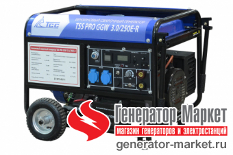 Cварочный бензогенератор TSS Pro GGW3.0/250E-R