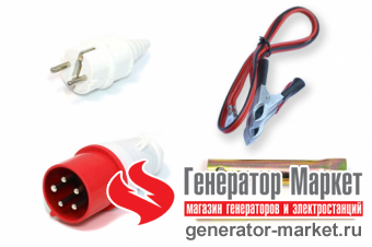 Бензогенератор TSS SGG6000EH3NA в кожухе