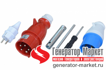 Бензогенератор TSS SGG9000E3LUA