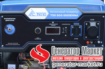 Бензогенератор TSS SGG6000EHNA Duplex в кожухе