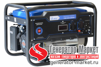 Бензогенератор TSS SGG2800N