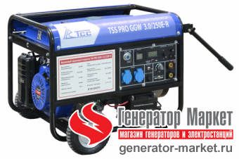 Cварочный бензогенератор TSS Pro GGW3.0/250E-R