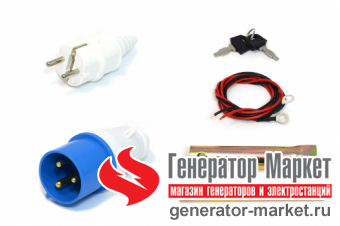 Бензогенератор TSS SGG7000EA