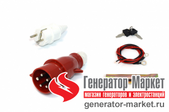 Бензогенератор TSS SGG10000EH3A