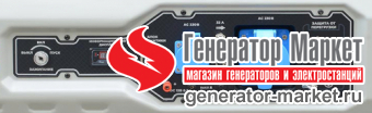 Бензогенератор TSS SGG9000ELA